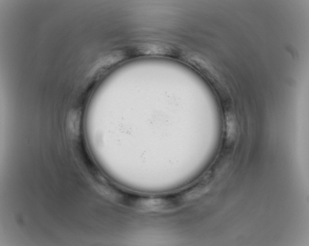 X0000113620695200910161953