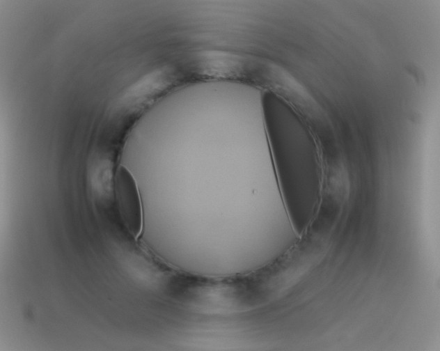 X0000113620696200910161953