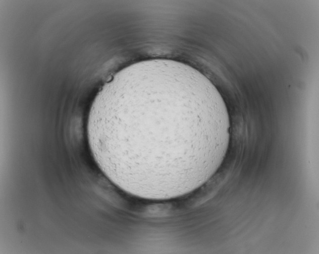 X0000113620700200910161953