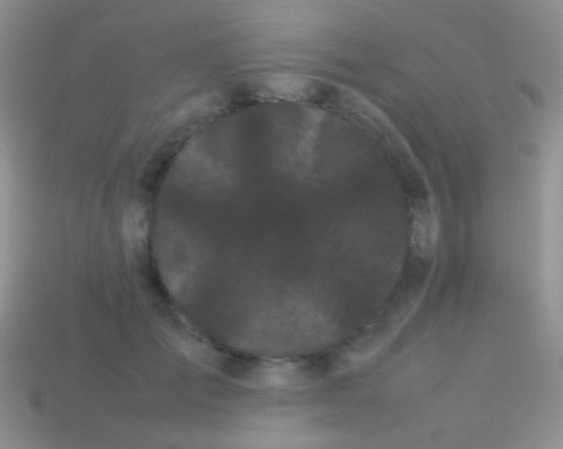 X0000113620701200910161953