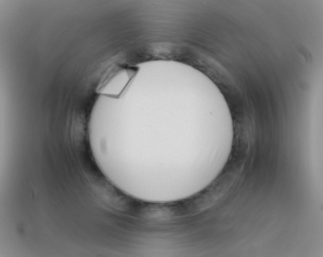 X0000113620702200910161953