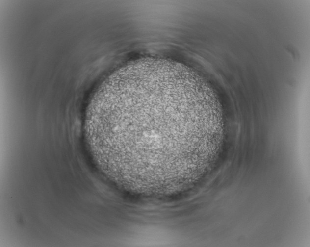 X0000113620703200910161953