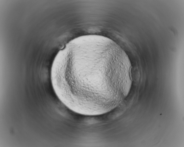 X0000113620704200910161953