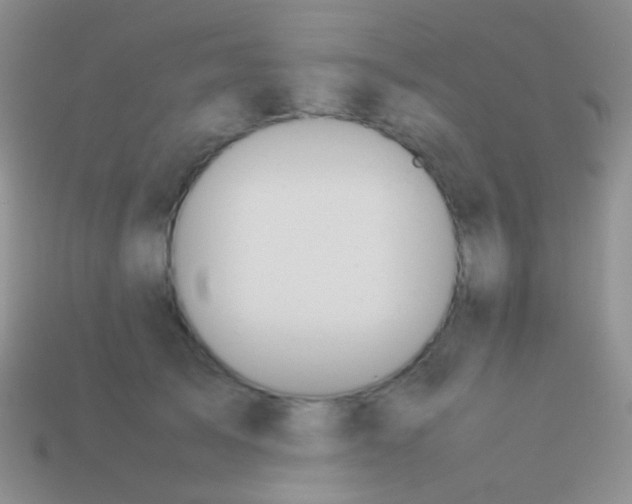 X0000113620705200910161953
