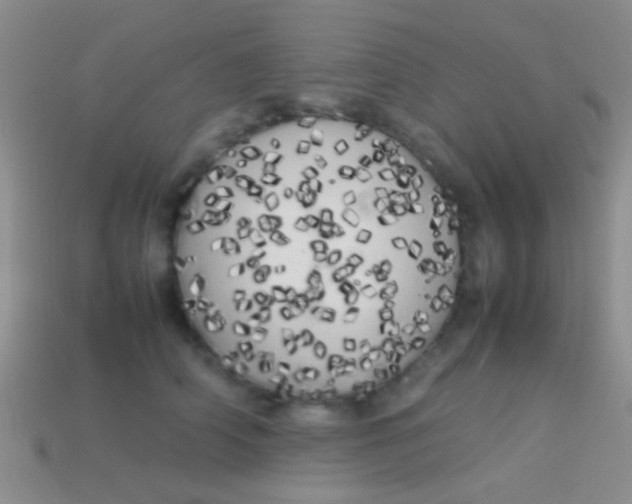 X0000113620706200910161953