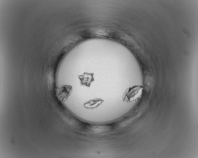 X0000113620707200910161953