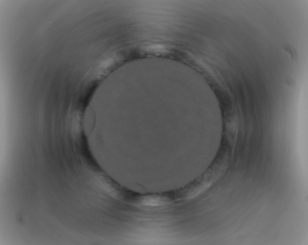 X0000113620708200910161953