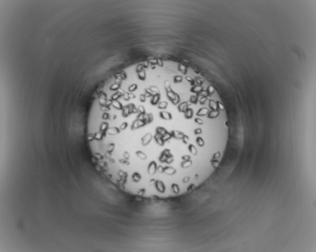 X0000113620710200910161953