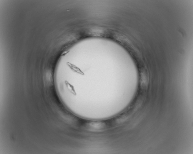 X0000113620711200910161953