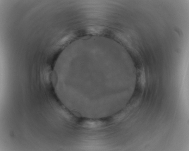 X0000113620712200910161953
