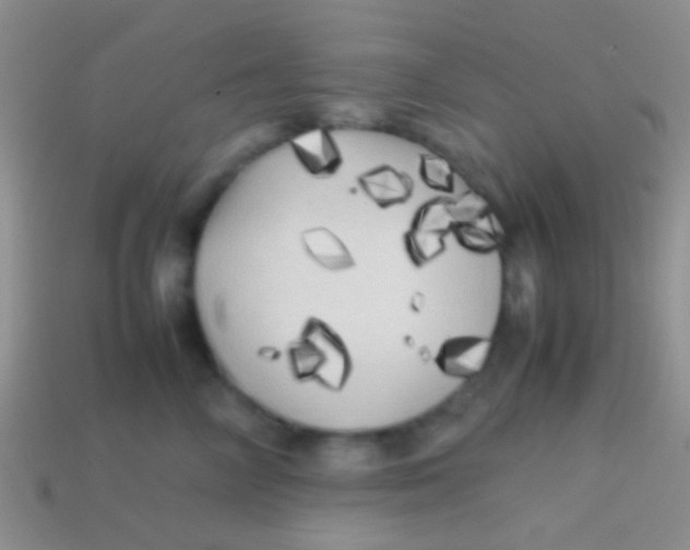 X0000113620714200910161953
