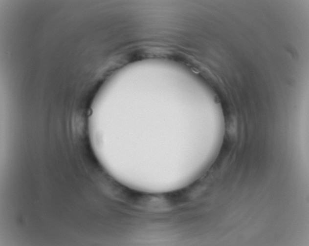 X0000113620715200910161953