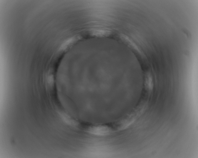 X0000113620716200910161953