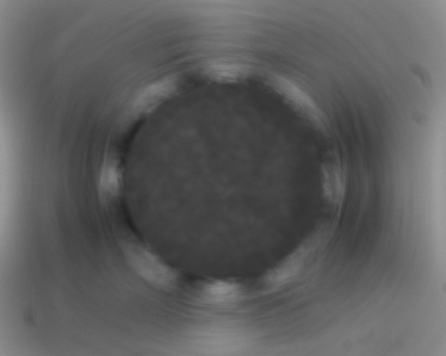 X0000113620718200910161953