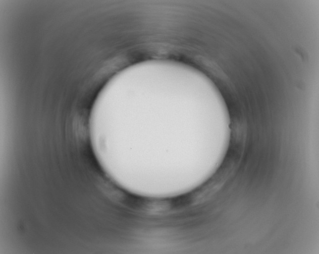 X0000113620719200910161953