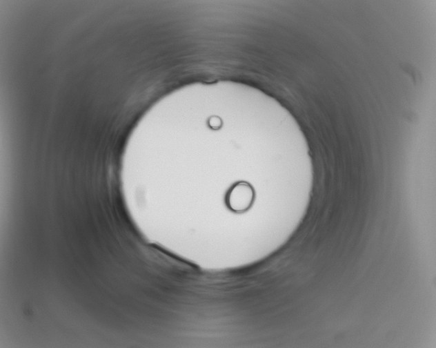 X0000113620720200910161953