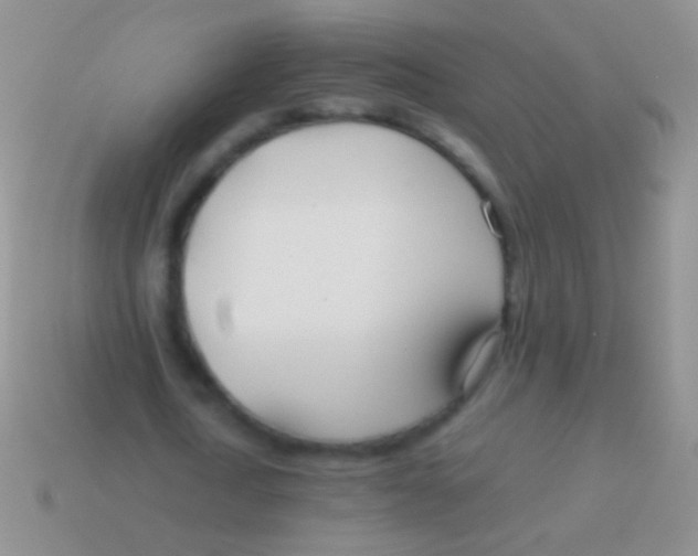 X0000113620722200910161952