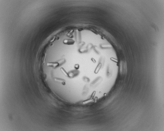 X0000113620723200910161952