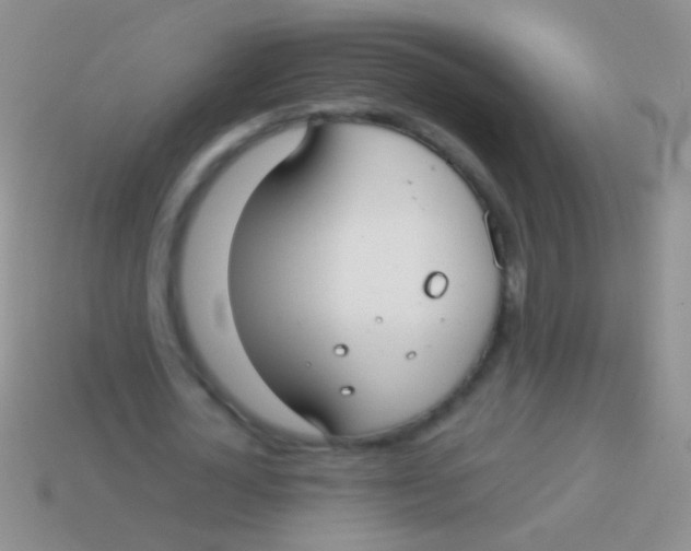 X0000113620724200910161952