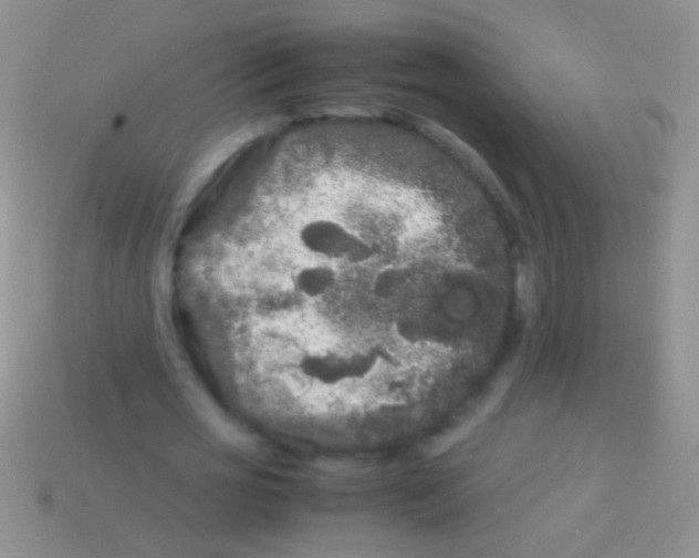 X0000113620725200910161952