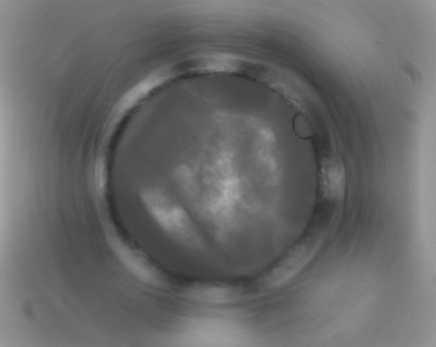 X0000113620726200910161952