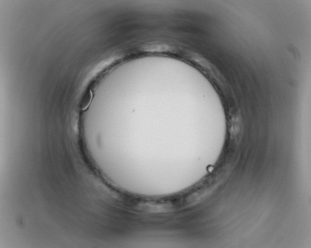 X0000113620727200910161952