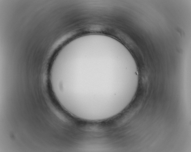 X0000113620728200910161952