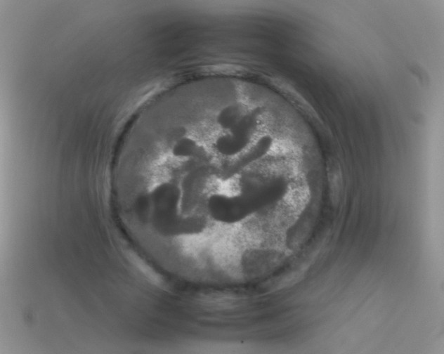 X0000113620729200910161952