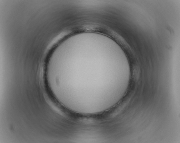 X0000113620730200910161952