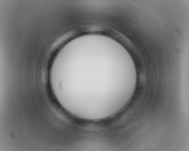 X0000113620732200910161952