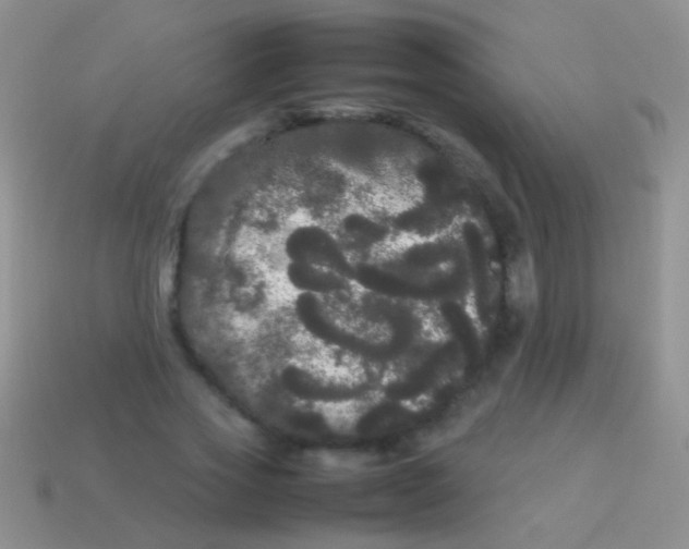 X0000113620733200910161952