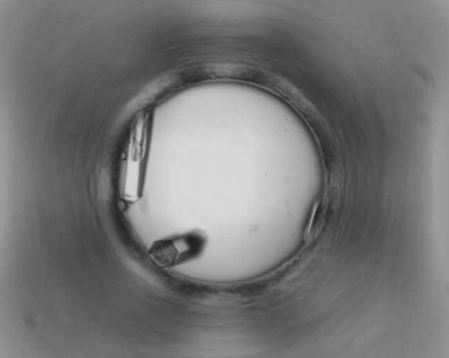 X0000113620734200910161952