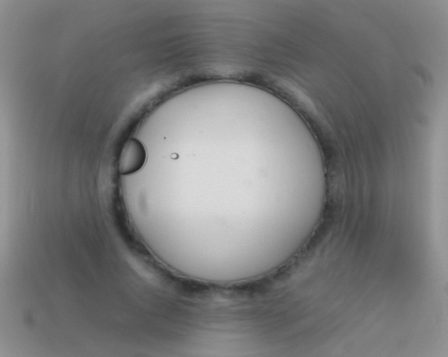 X0000113620736200910161952
