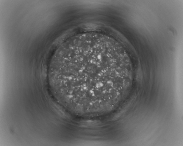 X0000113620737200910161952