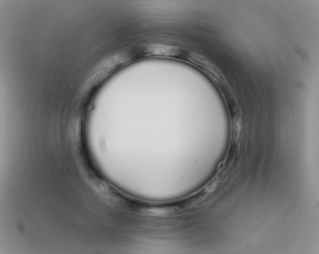X0000113620738200910161952