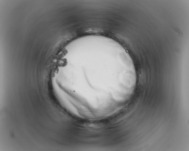 X0000113620739200910161952
