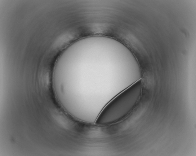 X0000113620740200910161952