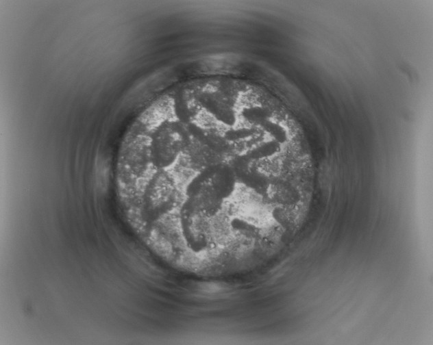 X0000113620741200910161952