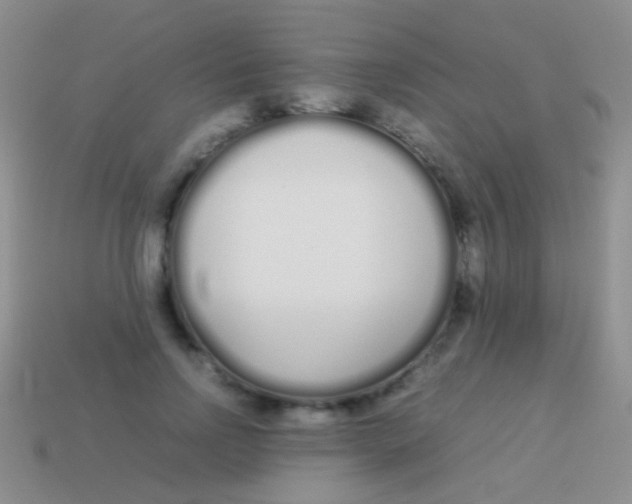 X0000113620742200910161952