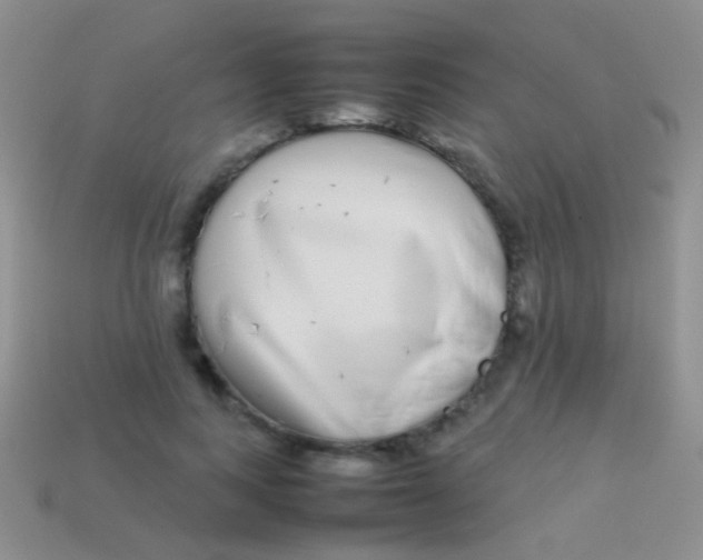 X0000113620743200910161952
