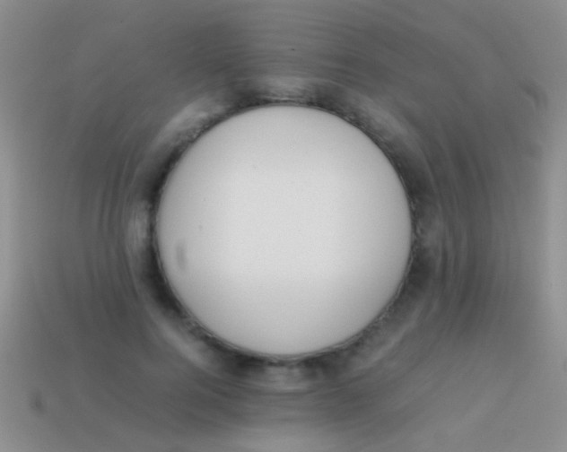 X0000113620744200910161952