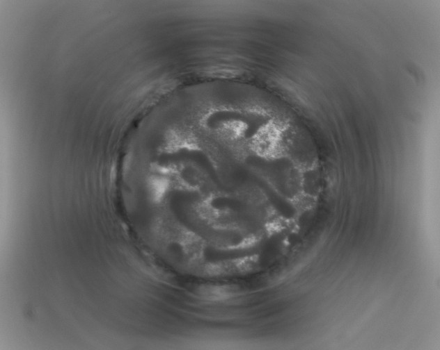 X0000113620745200910161952