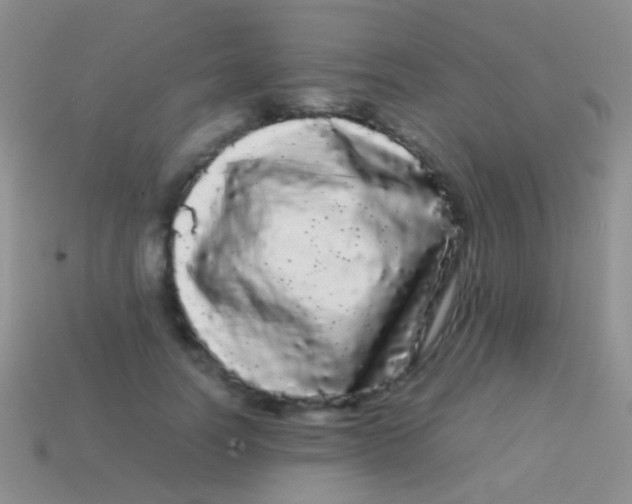 X0000113620746200910161952