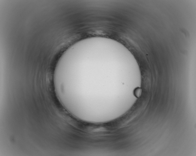X0000113620747200910161952