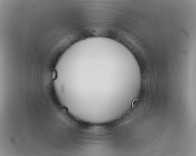 X0000113620748200910161952