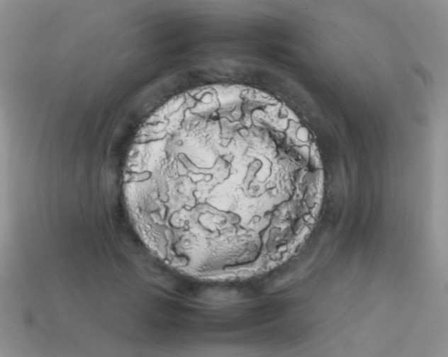 X0000113620749200910161952