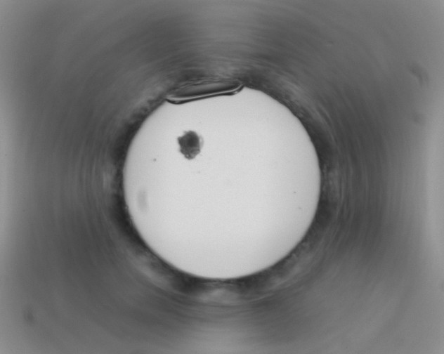 X0000113620750200910161952