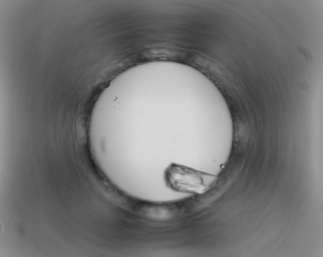 X0000113620751200910161953