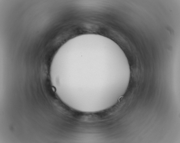 X0000113620752200910161953
