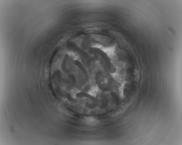 X0000113620753200910161953